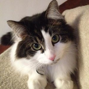 Meet your Posher, Jun